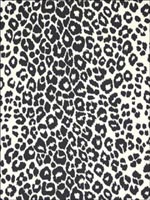 Iconic Leopard Graphite Wallpaper 5007012 by Schumacher Wallpaper for sale at Wallpapers To Go