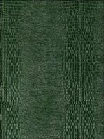 Komodo Forest Green Wallpaper 5007342 by Schumacher Wallpaper for sale at Wallpapers To Go