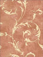 Leaf Scroll Wallpaper NF50901 by Seabrook Wallpaper for sale at Wallpapers To Go