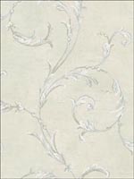 Leaf Scroll Wallpaper NF50904 by Seabrook Wallpaper for sale at Wallpapers To Go