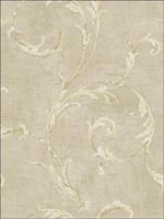 Leaf Scroll Wallpaper NF50905 by Seabrook Wallpaper for sale at Wallpapers To Go