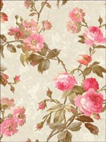 Roses Wallpaper NF51108 by Seabrook Wallpaper for sale at Wallpapers To Go
