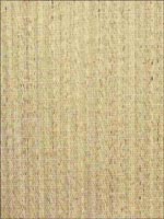 Paperweave Cool Tan Wallpaper WND218 by Astek Wallpaper for sale at Wallpapers To Go
