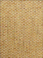 Paperweave Caramel and Tan Wallpaper WND222 by Astek Wallpaper for sale at Wallpapers To Go