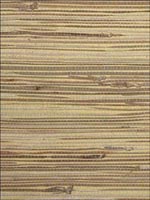 Grasscloth Tan on Buttercream Wallpaper WND252 by Astek Wallpaper for sale at Wallpapers To Go