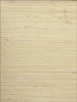 Heavy Jute White Wallpaper WND260 by Astek Wallpaper for sale at Wallpapers To Go