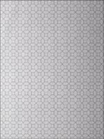 Farris Grey on Silver Wallpaper T11024 by Thibaut Wallpaper for sale at Wallpapers To Go