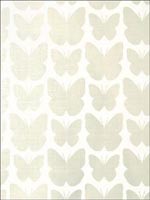 Aldora Pearl on White Wallpaper T11048 by Thibaut Wallpaper for sale at Wallpapers To Go