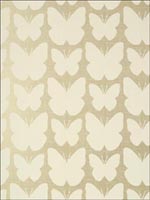 Aldora Champagne Pearl Wallpaper T11049 by Thibaut Wallpaper for sale at Wallpapers To Go