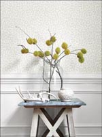 Room22464 by Thibaut Wallpaper for sale at Wallpapers To Go