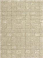 Paperweave Wallpaper WSE1225 by Winfield Thybony Design Wallpaper for sale at Wallpapers To Go