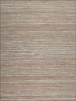 Sisal Grasscloth Wallpaper WSE1226 by Winfield Thybony Design Wallpaper for sale at Wallpapers To Go