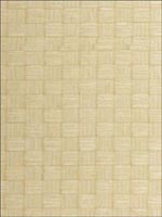 Paperweave Wallpaper WSE1234 by Winfield Thybony Design Wallpaper for sale at Wallpapers To Go