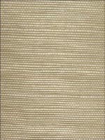 Sisal Grasscloth Wallpaper WSE1238 by Winfield Thybony Design Wallpaper for sale at Wallpapers To Go