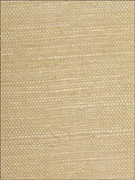 Sisal Grasscloth Wallpaper WSE1258 by Winfield Thybony Design Wallpaper for sale at Wallpapers To Go