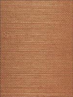 Sisal Grasscloth Wallpaper WSE1273 by Winfield Thybony Design Wallpaper for sale at Wallpapers To Go