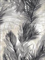 Palm Leaves Wallpaper BL40100 by Pelican Prints Wallpaper for sale at Wallpapers To Go