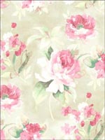 Floral Watercolor Wallpaper BL40703 by Pelican Prints Wallpaper for sale at Wallpapers To Go
