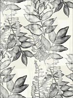 Watercolor Leaves Wallpaper JA30100 by Pelican Prints Wallpaper for sale at Wallpapers To Go