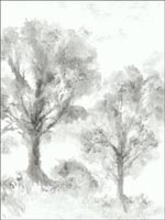 Trees Watercolor Wallpaper JA31300 by Pelican Prints Wallpaper for sale at Wallpapers To Go
