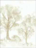Trees Watercolor Wallpaper JA31305 by Pelican Prints Wallpaper for sale at Wallpapers To Go