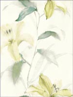 Floral Trail Watercolor Wallpaper JA31604 by Pelican Prints Wallpaper for sale at Wallpapers To Go