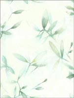 Watercolor Leaves Wallpaper JA31804 by Pelican Prints Wallpaper for sale at Wallpapers To Go