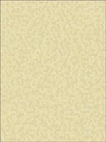 Tiles Wallpaper GA30103 by Collins and Company Wallpaper for sale at Wallpapers To Go