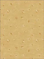 Hubble Dots Gold Wallpaper AV50605 by Seabrook Wallpaper for sale at Wallpapers To Go