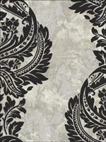 Newton Damask Black and Grey Wallpaper AV51300 by Seabrook Wallpaper for sale at Wallpapers To Go