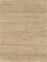 Pearl Coated Raw Jute Cream Wallpaper 488418 by Patton Wallpaper for sale at Wallpapers To Go