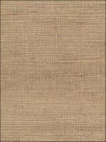 Pearl Coated Raw Jute Beige Wallpaper 488419 by Patton Wallpaper for sale at Wallpapers To Go