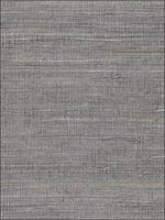 Pearl Coated Raw Jute Gray Wallpaper 488420 by Patton Wallpaper for sale at Wallpapers To Go