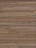 Regular Boodle Brown Cream Wallpaper 488436 by Patton Wallpaper for sale at Wallpapers To Go