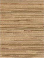 Regular Boodle Foil Backing Gold Tan Metallic Wallpaper 488441 by Patton Wallpaper for sale at Wallpapers To Go