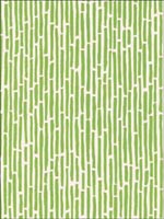 Bamboo Spring Wallpaper 5007522 by Schumacher Wallpaper for sale at Wallpapers To Go