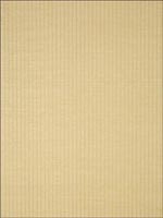 Costa Stripe Beige Wallpaper T83048 by Thibaut Wallpaper for sale at Wallpapers To Go