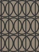 Geometric Circles and Lines Wallpaper DL31600 by Hemisphere Wallpaper for sale at Wallpapers To Go