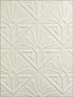 Textured Vinyl Deco Paradiso Paintable Wallpaper RD576 by Astek Wallpaper for sale at Wallpapers To Go