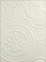 Textured Vinyl Egon Paintable Wallpaper RD80029 by Astek Wallpaper for sale at Wallpapers To Go