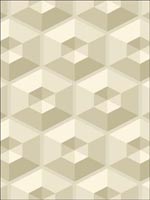 Geometric Wallpaper TD30506 by Pelican Prints Wallpaper for sale at Wallpapers To Go