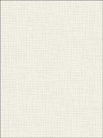 Woven Grass Faux Finish Wallpaper BW21201 by Paper and Ink Wallpaper for sale at Wallpapers To Go