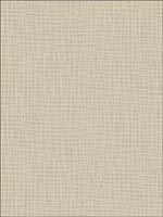 Woven Grass Faux Finish Wallpaper BW21208 by Paper and Ink Wallpaper for sale at Wallpapers To Go