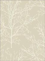 Winter Branches Wallpaper BW22408 by Paper and Ink Wallpaper for sale at Wallpapers To Go