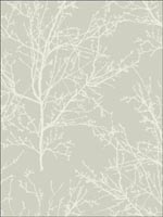 Winter Branches Wallpaper BW22410 by Paper and Ink Wallpaper for sale at Wallpapers To Go