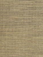 Barbora Chocolate Grasscloth Wallpaper 262230215 by Kenneth James Wallpaper for sale at Wallpapers To Go