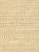 Ruslan Champagne Grasscloth Wallpaper 262230216 by Kenneth James Wallpaper for sale at Wallpapers To Go