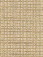 Tomek Beige Paper Weave Wallpaper 262230220 by Kenneth James Wallpaper for sale at Wallpapers To Go