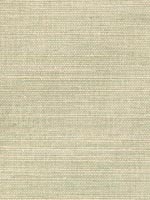 Barbora Light Green Grasscloth Wallpaper 262230227 by Kenneth James Wallpaper for sale at Wallpapers To Go