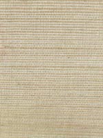 Ruslan Brown Grasscloth Wallpaper 262230233 by Kenneth James Wallpaper for sale at Wallpapers To Go